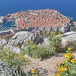 Mirror Dubrovnik