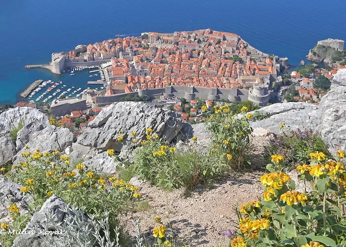 Mirror 두브로브니크